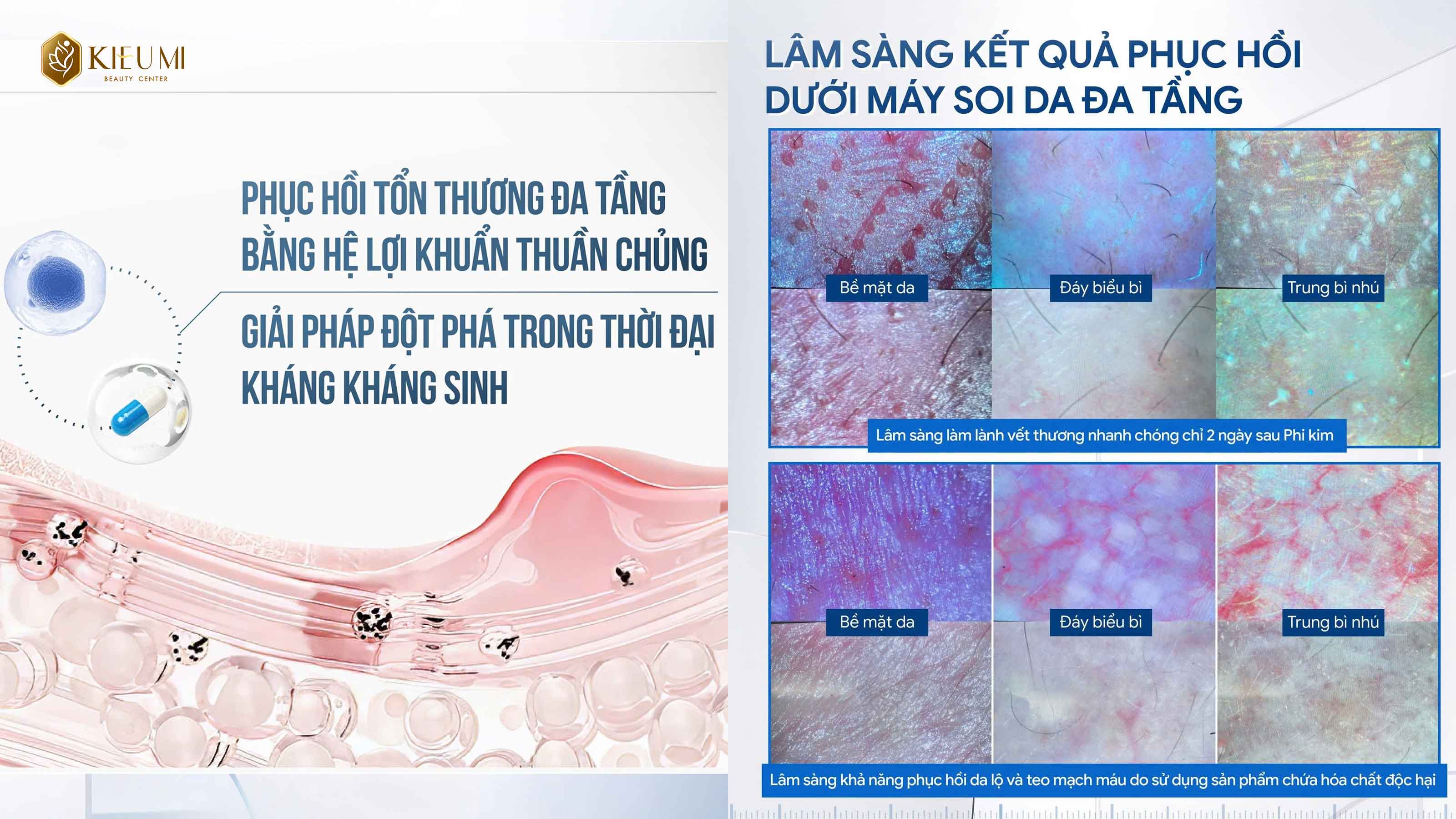 Xu hướng làm đẹp 2025: Phát triển Công nghệ Vi Sinh trên nền tảng Y học cổ truyền   
