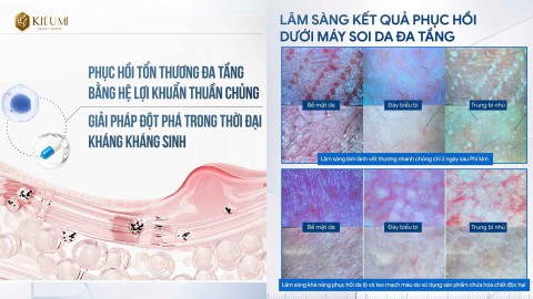 Xu hướng làm đẹp 2025: Phát triển Công nghệ Vi Sinh trên nền tảng Y học cổ truyền   